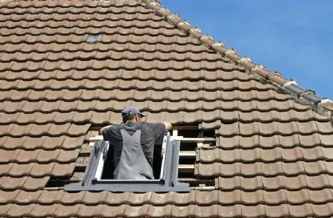 Pose de velux - Chassieu